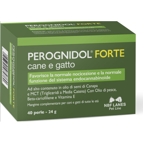 Perognidol Forte perle