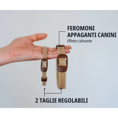 FEROMONI ZENIDOG
