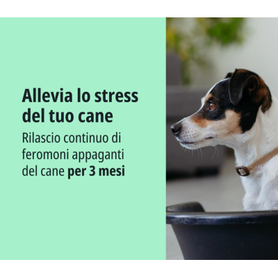ZENIDOG ANTISTRESS COLLARE