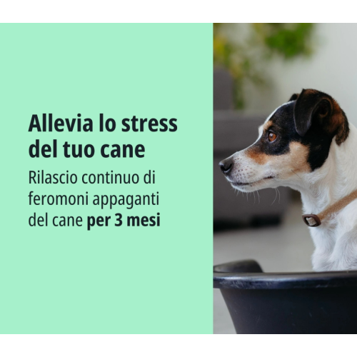 ALLEVIA STRESS COLLARE ZENIDOG