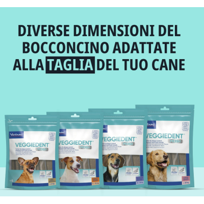 DIVERSI FROMATI VEGGIE DENT