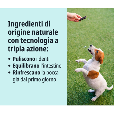 INGREDIENTI TRIPLA AZIONE