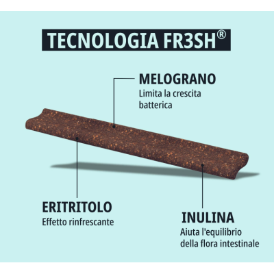 tecnologia fresh