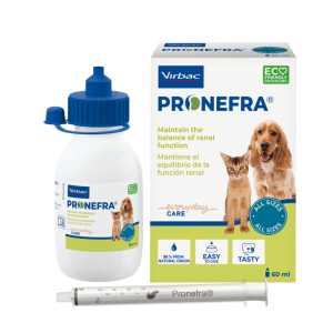 Pronefra