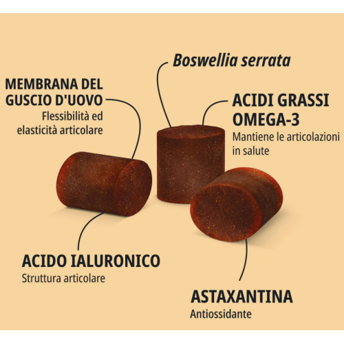 bocconcini movoflex cane