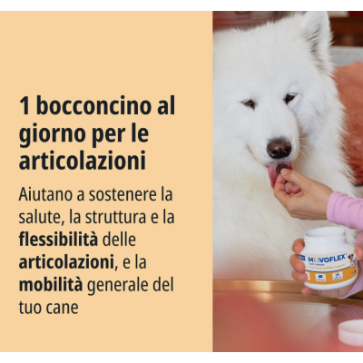 1 Bocconcino al giorno movoflex