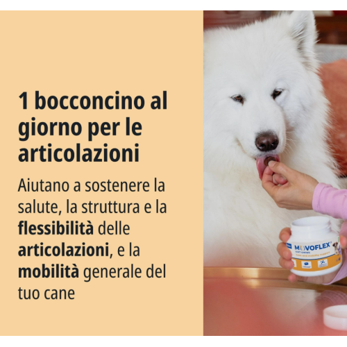 1 Bocconcino al giorno movoflex