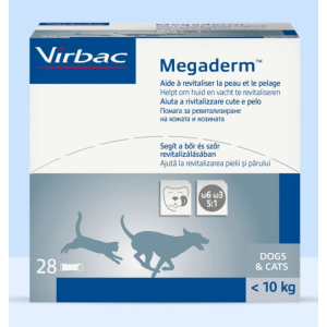 megaderm