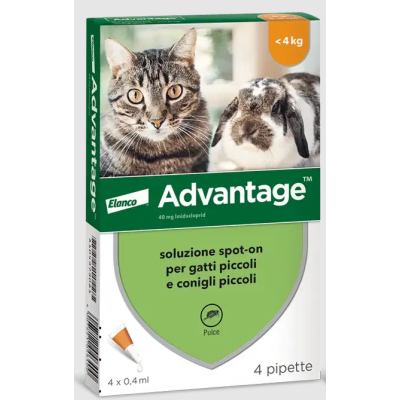 Advantage 4 pipette per gatti e conigli sotto i 4 kg