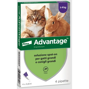 Advantage 4 pipette per gatti e conigli sopra i 4kg