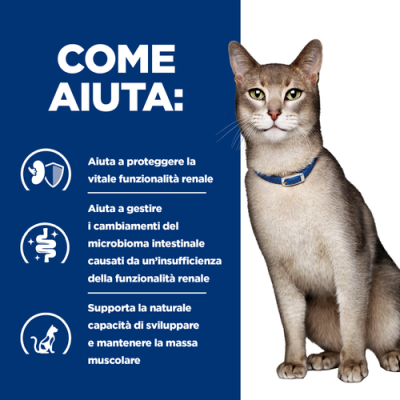 A COSA SERVE Hill's Gatto Prescription Diet K/D Salmone 85 Gr