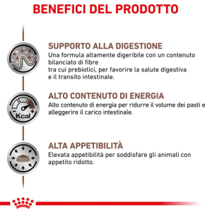 Royal Canin Gatto Gastrointestinal 2