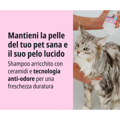 Allerderm Shampoo per cute normale per cane e gatto