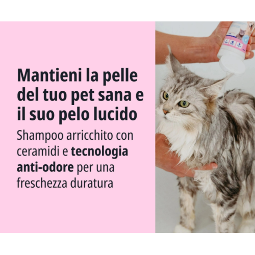 Allerderm Shampoo per cute normale per cane e gatto