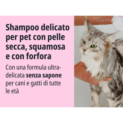 Allerderm shampoo cute squamosa cane e gatti