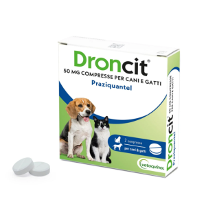 Droncit
