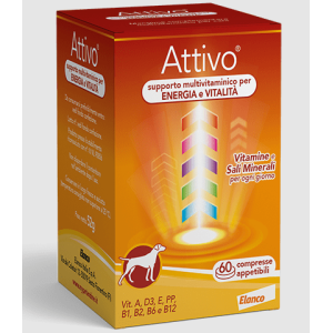 Attivo tabs 60 cpr
