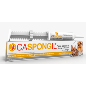 Caspongil Pasta 30 gr