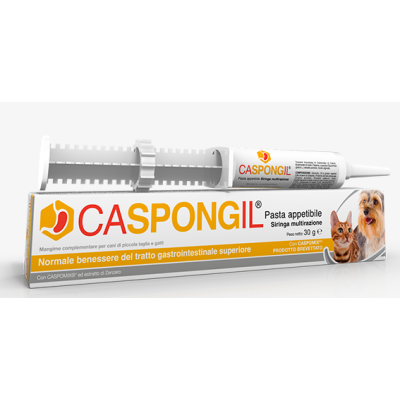 Caspongil Pasta 30 gr