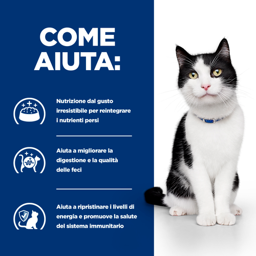 sPEZZATINO I/D GATTO