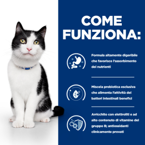 Hill's Gatto Prescription Diet I/D Spezzatino 82 Gr 2