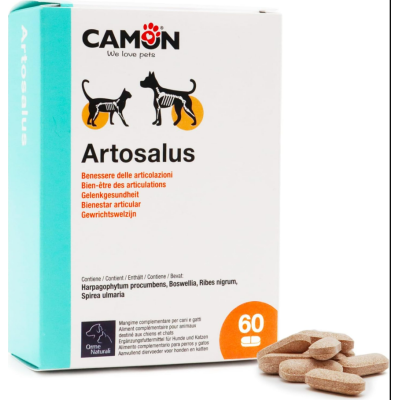 Camon Artosalus 60 cpr