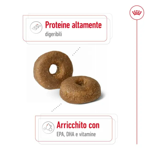 Corcchette Royal Canin Cane Maxi Ageing 8+