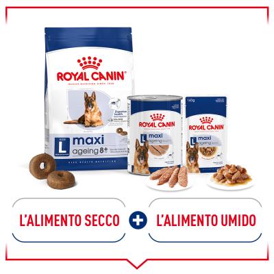 Royal Canin Cane Maxi Ageing 8+