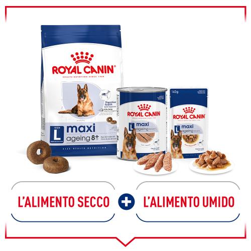 Royal Canin Cane Maxi Ageing 8+