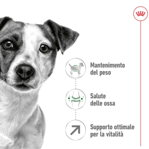 Royal Canin Cane Mini Adulto 8+ 2