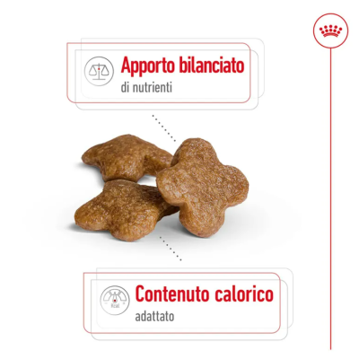 DIMENSIONE CROCCHETTE ROYAL MINI 8+