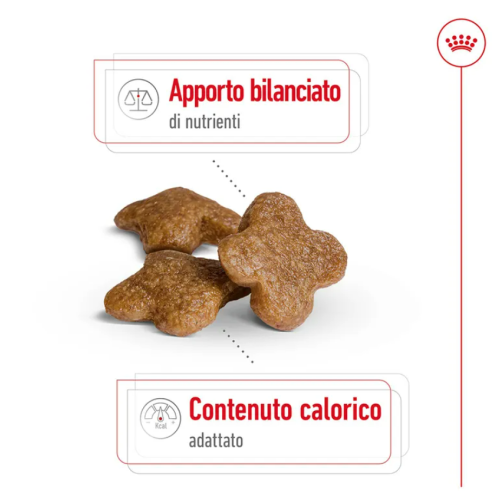 DIMENSIONE CROCCHETTE ROYAL MINI 8+