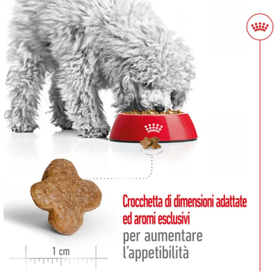 DIMENSIONE CROCCHETTA