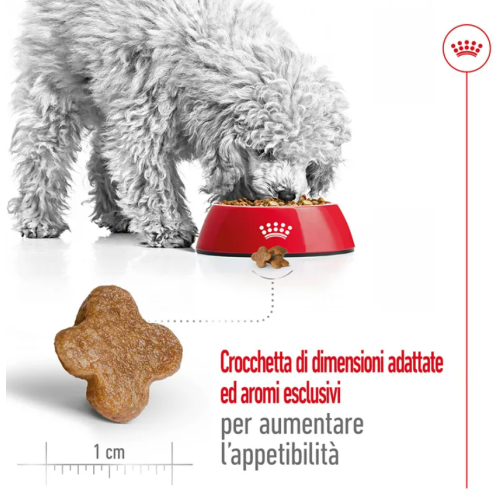 DIMENSIONE CROCCHETTA