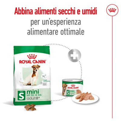ALIMENTO SECCO E UMIDO