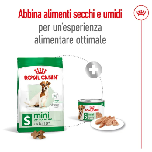 ALIMENTO SECCO E UMIDO