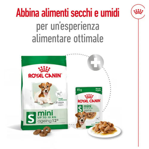 Royal Canin Cane Mini Ageing 12+
