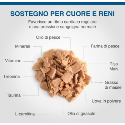Specific Cane Heart e Kindey Support Vaschetta 300gr