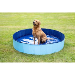 Flamingo Piscina Per Cani 160x30