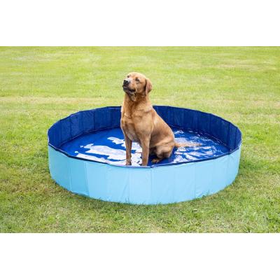 Flamingo Piscina Per Cani 160x30