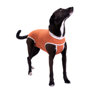 CobreVet BODYCOBRE Tradizionale Unisex Cane e Gatto 2
