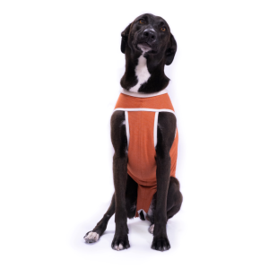 CobreVet BODYCOBRE Tradizionale Unisex Cane e Gatto