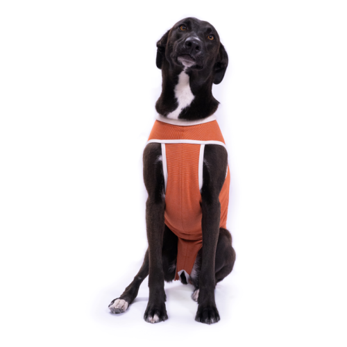 CobreVet BODYCOBRE Tradizionale Unisex Cane e Gatto