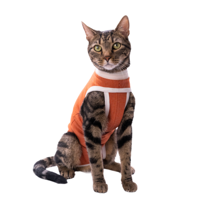 GAtto body post operatorio cobrevet