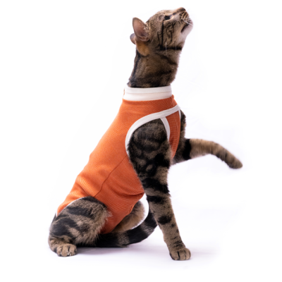 CobreVet BODYCOBRE Tradizionale Unisex Cane e Gatto