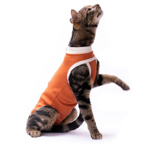 CobreVet BODYCOBRE Tradizionale Unisex Cane e Gatto