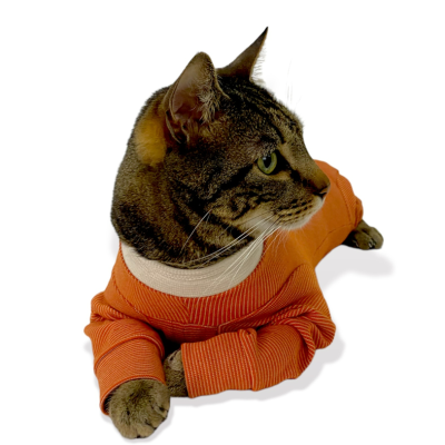 CobreVet BODYCOBRE Completo Unisex Cane e Gatto