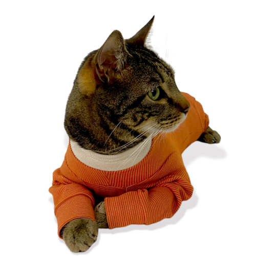 CobreVet BODYCOBRE Completo Unisex Cane e Gatto