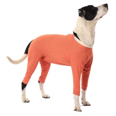 CobreVet BODYCOBRE Completo Unisex Cane e Gatto