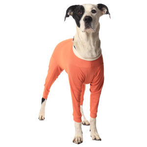CobreVet BODYCOBRE Completo Unisex Cane e Gatto